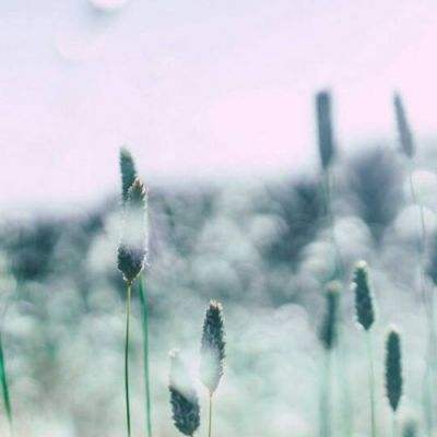 MSCI ESG 评级跃升至AAA！